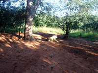 DSCF2862