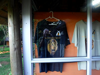 DSCF2849