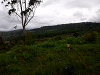 DSCF2386