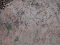 DSCF2375