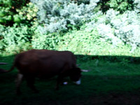DSCF2321