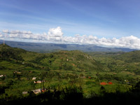 DSCF2312