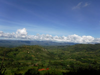 DSCF2313