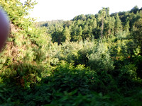 DSCF2318