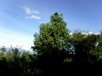 DSCF2319