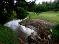 DSCF2095
