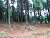 DSCF2094