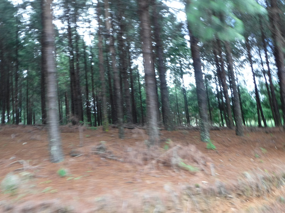 DSCF2094
