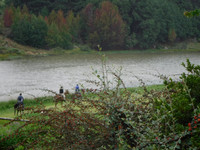 DSCF2089