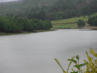 DSCF2090