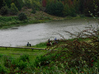 DSCF2088